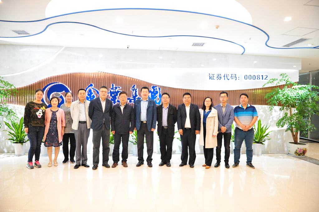 金叶集团信息化项目启动大会顺利召开 金叶集团信息化项目启动大会顺利召开